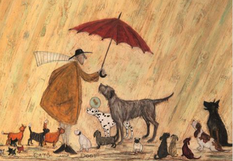 SAM TOFT- CATS AND DOGS GREETING CARD
